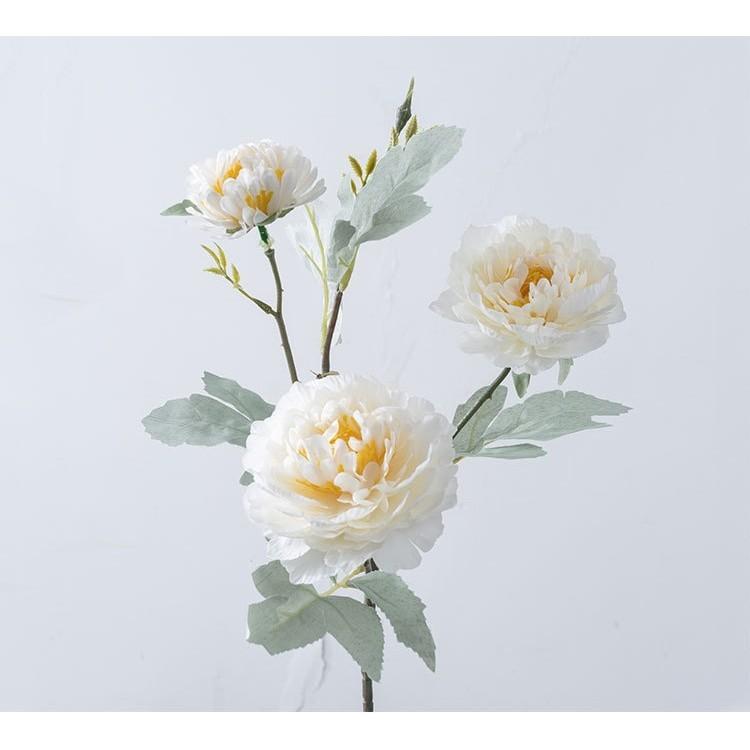 Искусственные цветы в форме макаруна из пиона, украшения для дома, свадебные торжества, держащие цветы, направляющие цветочные стены, искусственные цветы, реквизит для съемки белый
Искусственные цветы в форме макаруна из пиона, украшения для дома, свадебные торжества, держащие цветы, направляющие цветочные стены, искусственные цветы, реквизит для съемки белый