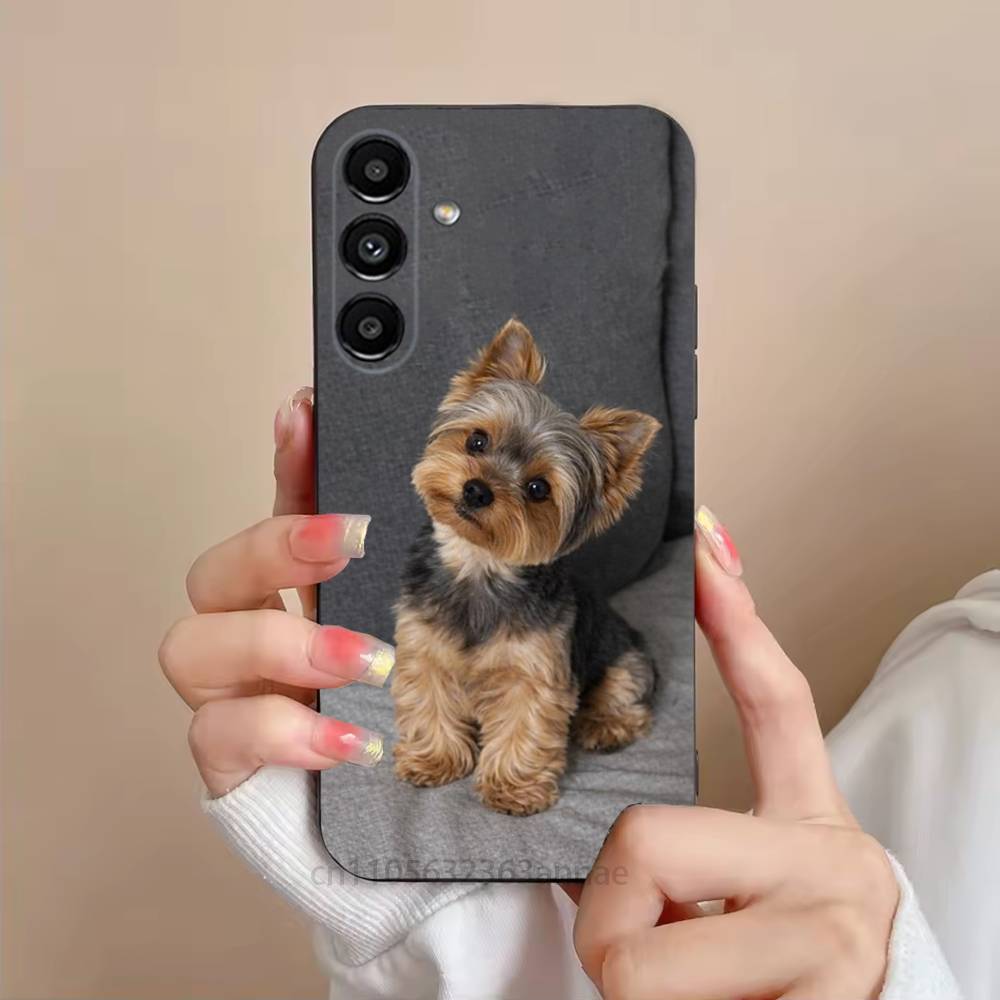 Yorkshire terrier dog Phone Case For Samsung Galaxy S21 22 23 24 S25 Ultra PlusS20 FE S10 Plus Cover Funda SamsungS30ULTRA5G
Yorkshire terrier dog Phone Case For Samsung Galaxy S21 22 23 24 S25 Ultra PlusS20 FE S10 Plus Cover Funda SamsungS30ULTRA5G