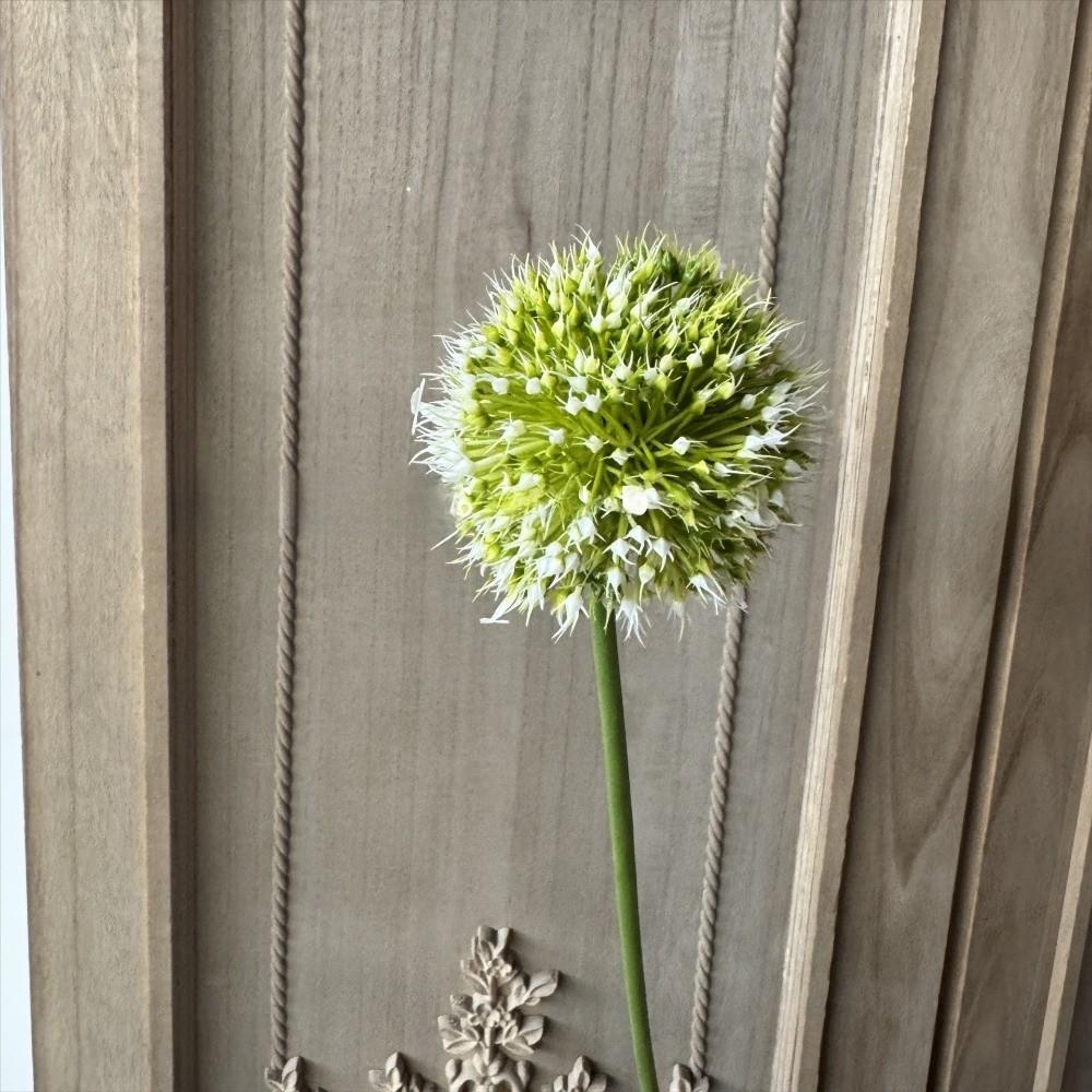 Floral Display Artificial Faux Allium Plants Single Dandelion Branch Flower Home Decor белый
Floral Display Artificial Faux Allium Plants Single Dandelion Branch Flower Home Decor белый