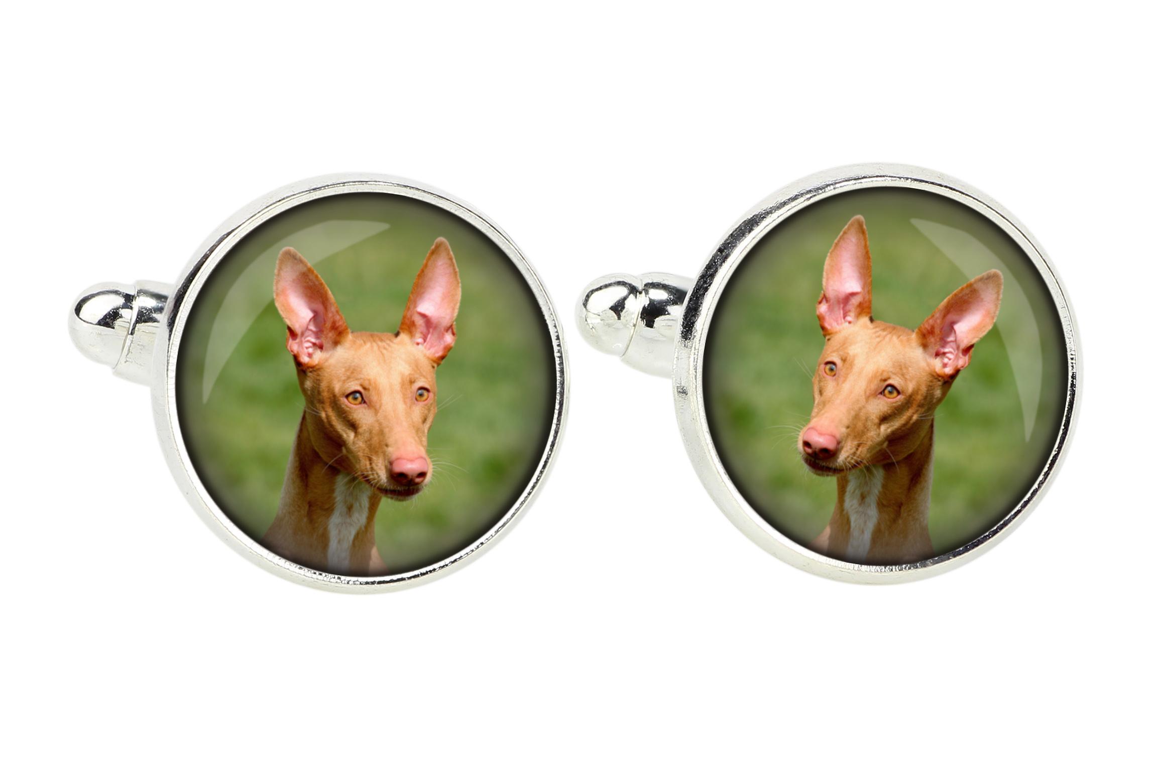 Фараонова собака, Kelb tal-Fenek - запонки, аксесуар до сорочки, підвіска на сорочку від бренду Art-Dog срібний
Фараонова собака, Kelb tal-Fenek - запонки, аксесуар до сорочки, підвіска на сорочку від бренду Art-Dog срібний
