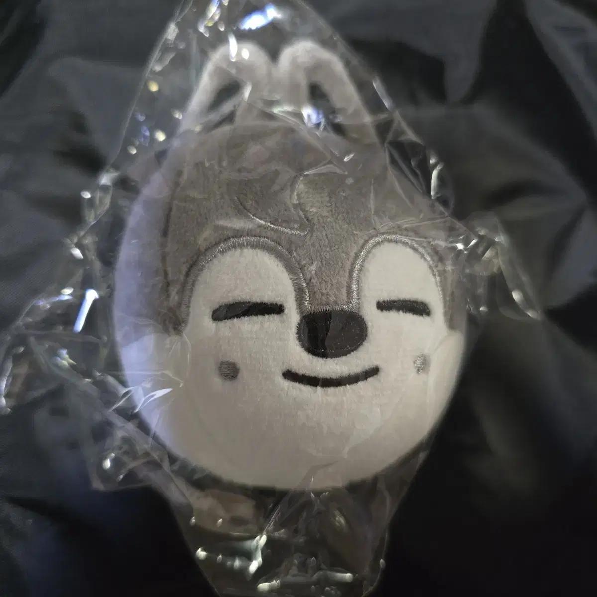 Straykids Bangchan Skzoo Straykids Wolf Chan Puchan Подвеска в виде воздушного шара из Японии
Straykids Bangchan Skzoo Straykids Wolf Chan Puchan Подвеска в виде воздушного шара из Японии