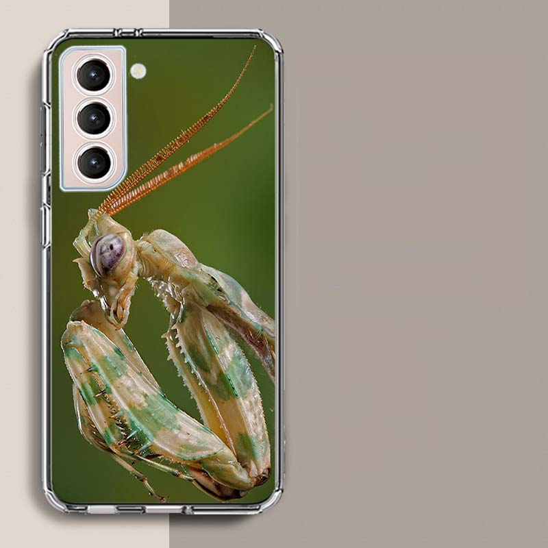 Чехол для телефона «Богомол» для Samsung Galaxy S25 Edge S24 S23 FE S21 S20 S10 Plus S22 S26 Ultra Чехол Прозрачные Чехлы ТПУ Capa Оболочка Samsung S21
Чехол для телефона «Богомол» для Samsung Galaxy S25 Edge S24 S23 FE S21 S20 S10 Plus S22 S26 Ultra Чехол Прозрачные Чехлы ТПУ Capa Оболочка Samsung S21