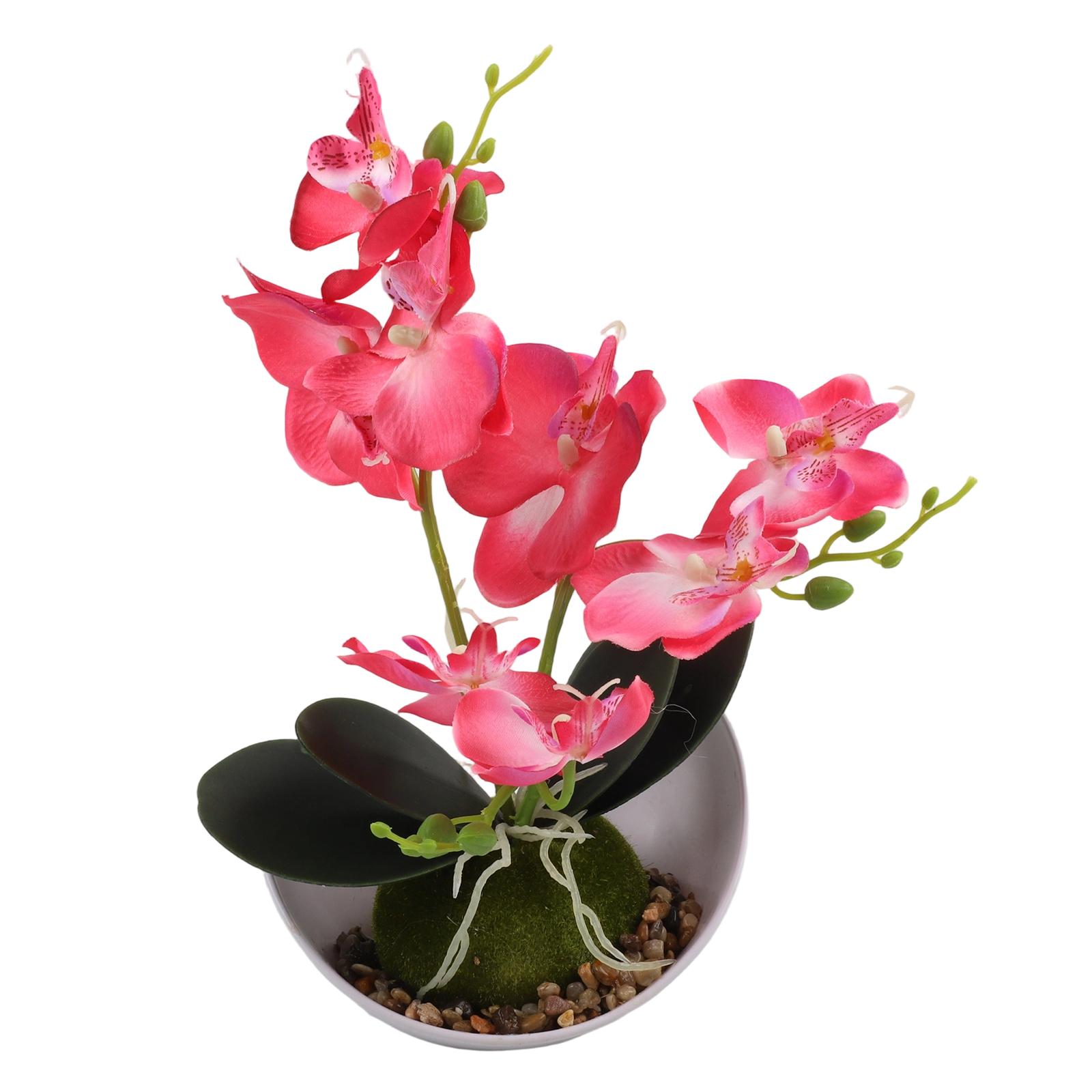 1Pcs Butterfly Orchid Bonsai Simulation Flower Artificial Butterfly Orchid Potted Plant Table Ornament Home Wedding Decoration
1Pcs Butterfly Orchid Bonsai Simulation Flower Artificial Butterfly Orchid Potted Plant Table Ornament Home Wedding Decoration