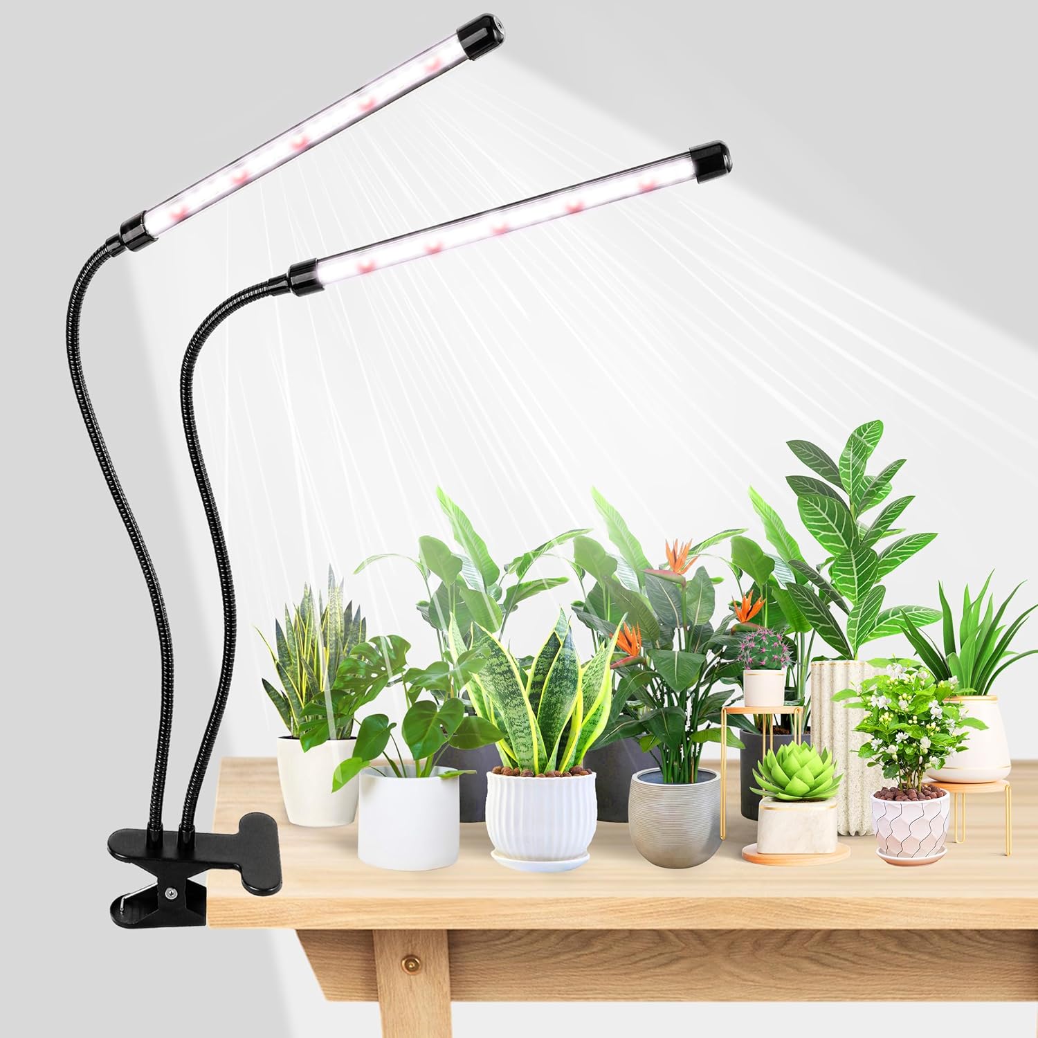Grow Light 6500K Full Spectrum Plant Grow Lamp with Clip - 84 LED Plant Light for Indoor Plants
Grow Light 6500K Full Spectrum Plant Grow Lamp with Clip - 84 LED Plant Light for Indoor Plants