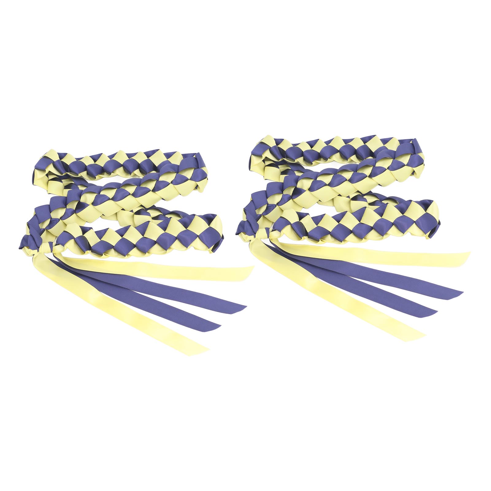 2Pcs Ribbon Leis Double Necklace Graduation Congrats Accessory for Men Women
2Pcs Ribbon Leis Double Necklace Graduation Congrats Accessory for Men Women