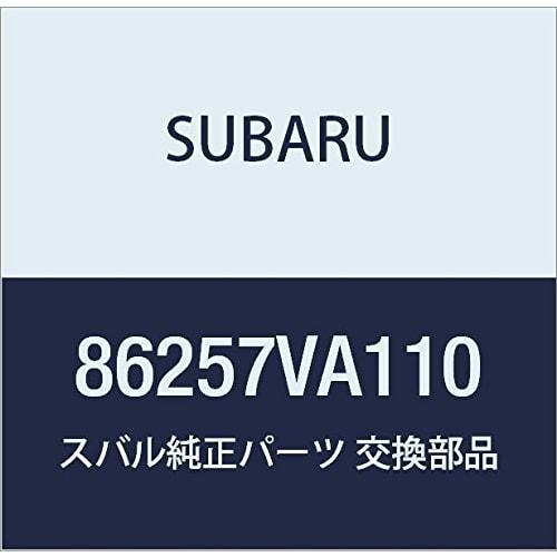 Оригинальные детали SUBARU AUX Terminal Levorg 5D Wagon Номер детали 86257VA110
Оригинальные детали SUBARU AUX Terminal Levorg 5D Wagon Номер детали 86257VA110