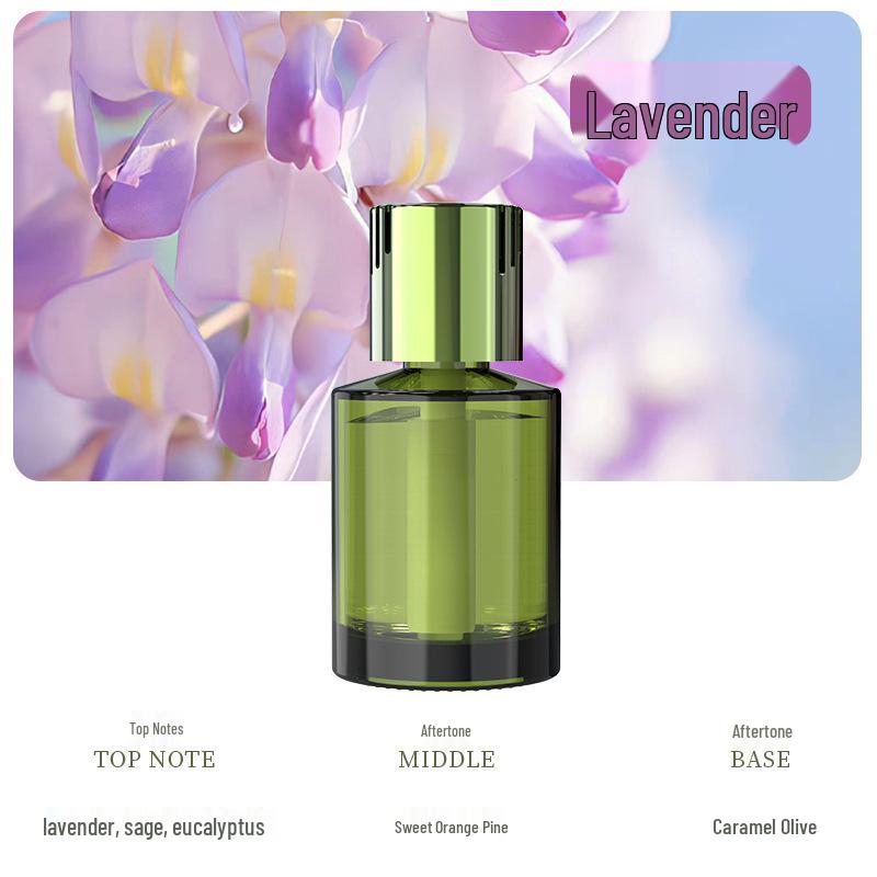 Долговечный освежитель воздуха для автомобиля и устранитель запахов для спальни и отеля Single Unit
Долговечный освежитель воздуха для автомобиля и устранитель запахов для спальни и отеля Single Unit