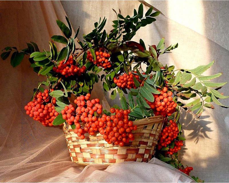 5D DIY алмазная живопись цветы полная дрель квадратная вышивка крестиком Алмазная вышивка пейзажная мозаика ремесленное украшение дома Full Round 30X40CM золотой
5D DIY алмазная живопись цветы полная дрель квадратная вышивка крестиком Алмазная вышивка пейзажная мозаика ремесленное украшение дома Full Round 30X40CM золотой