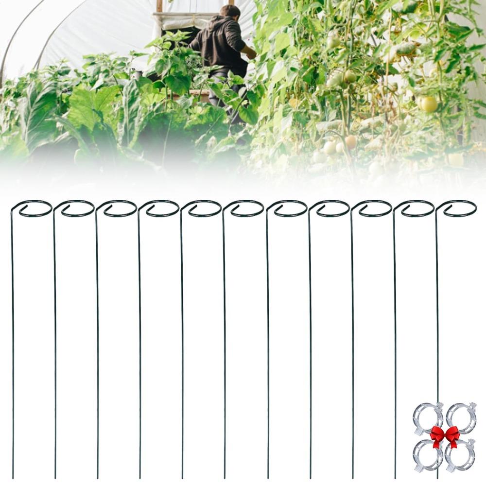Climbing Vine Rack Climbing Plant Support Stake Stand Spiral Tomato Stakes Garden Style 2
Climbing Vine Rack Climbing Plant Support Stake Stand Spiral Tomato Stakes Garden Style 2