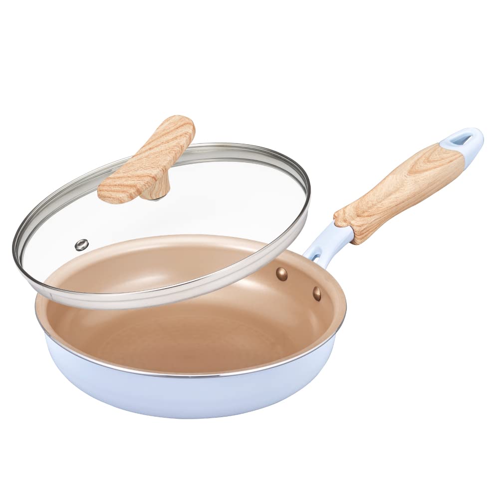 Сковорода Evercook IH со стеклянной пастелью Doshisha, набор из 2 предметов, совместимая, 20 см, крышка, синяя,
Сковорода Evercook IH со стеклянной пастелью Doshisha, набор из 2 предметов, совместимая, 20 см, крышка, синяя,