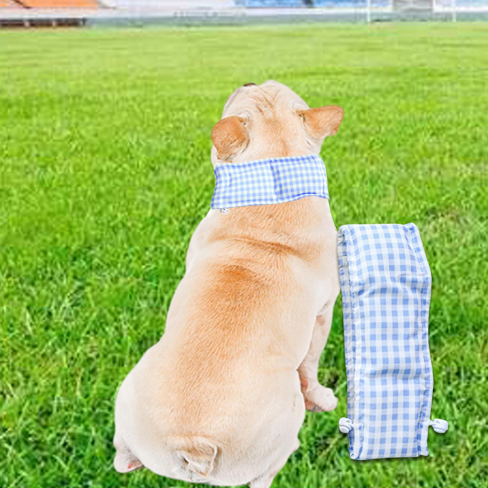 Cooling Bandana Costume for Dogs, Pet Scarf, Summer Collar Fishing, Camping, Indoor Blue and L
Cooling Bandana Costume for Dogs, Pet Scarf, Summer Collar Fishing, Camping, Indoor Blue and L