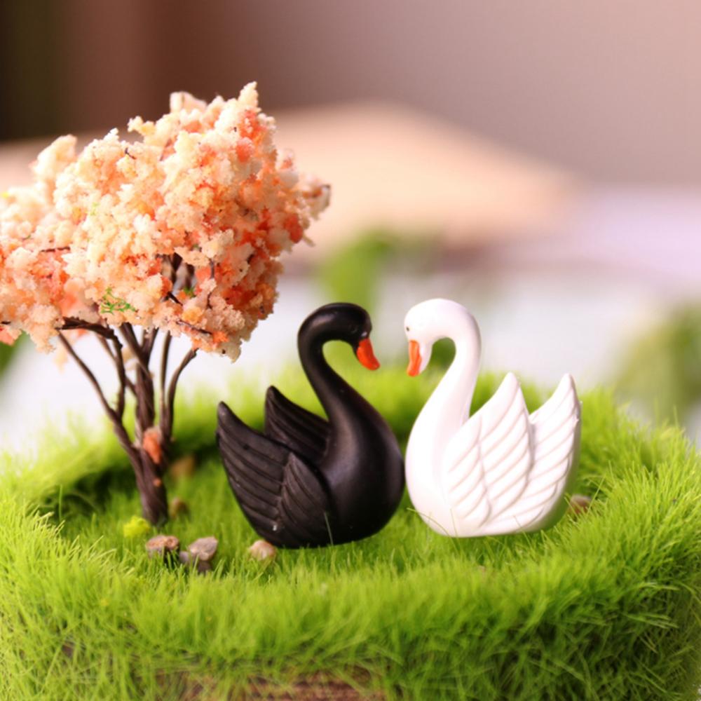 Micro Landscape DIY Black White Swan Miniature Lover Birds Ornaments Goose Mini Cygnus Figurine
Micro Landscape DIY Black White Swan Miniature Lover Birds Ornaments Goose Mini Cygnus Figurine