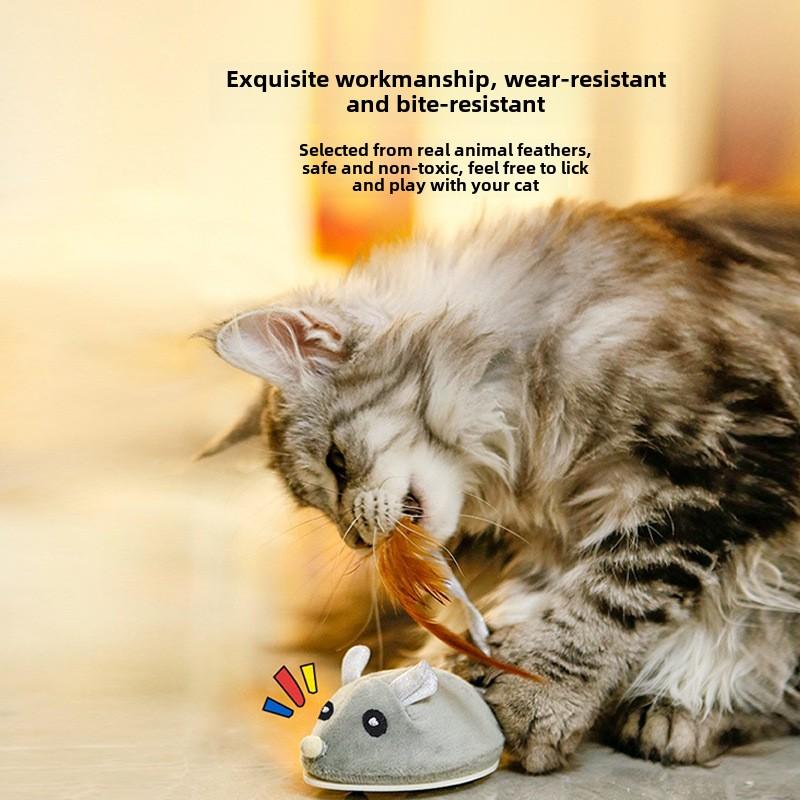 Smart mouse simulation cat toy automatically teases the cat USB charging Squeak cat toy
Smart mouse simulation cat toy automatically teases the cat USB charging Squeak cat toy