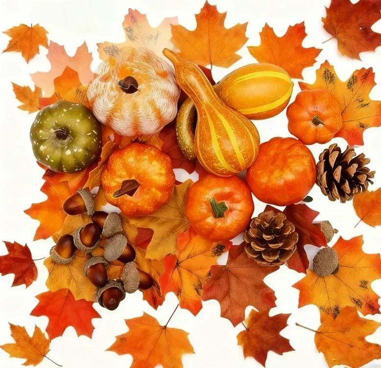 Fall Decoration Set Autumn Home D Cor Autumn Home Decoration Set Autumn Leaves Decorative Accents Lightweight Accessories China Mainland
Fall Decoration Set Autumn Home D Cor Autumn Home Decoration Set Autumn Leaves Decorative Accents Lightweight Accessories China Mainland