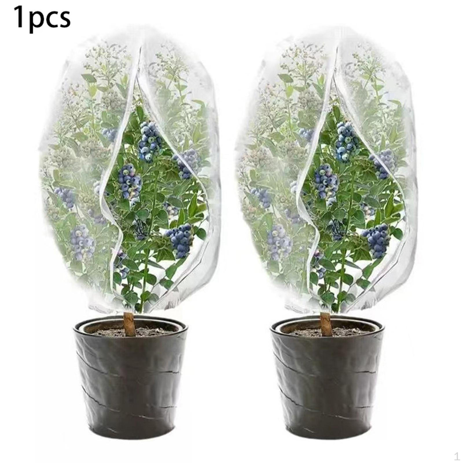 Сетка от птиц для сада, мелкая сетка, большой защитный чехол для больших растений, фруктовых деревьев, фермерских угодий 120cmx150cm
Сетка от птиц для сада, мелкая сетка, большой защитный чехол для больших растений, фруктовых деревьев, фермерских угодий 120cmx150cm