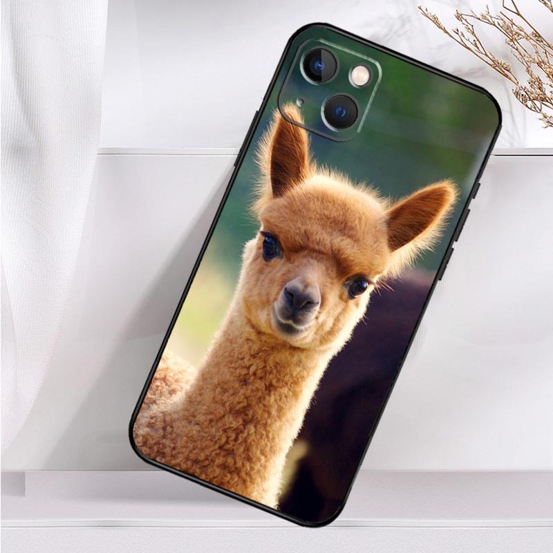 Cute Alpaca Donkey Shockproof Case For iPhone 17 Pro Max 11 14 15 16 Plus 12 13 Mini 16e 17 Air Phone Cover iPhone 13Pro MAX
Cute Alpaca Donkey Shockproof Case For iPhone 17 Pro Max 11 14 15 16 Plus 12 13 Mini 16e 17 Air Phone Cover iPhone 13Pro MAX