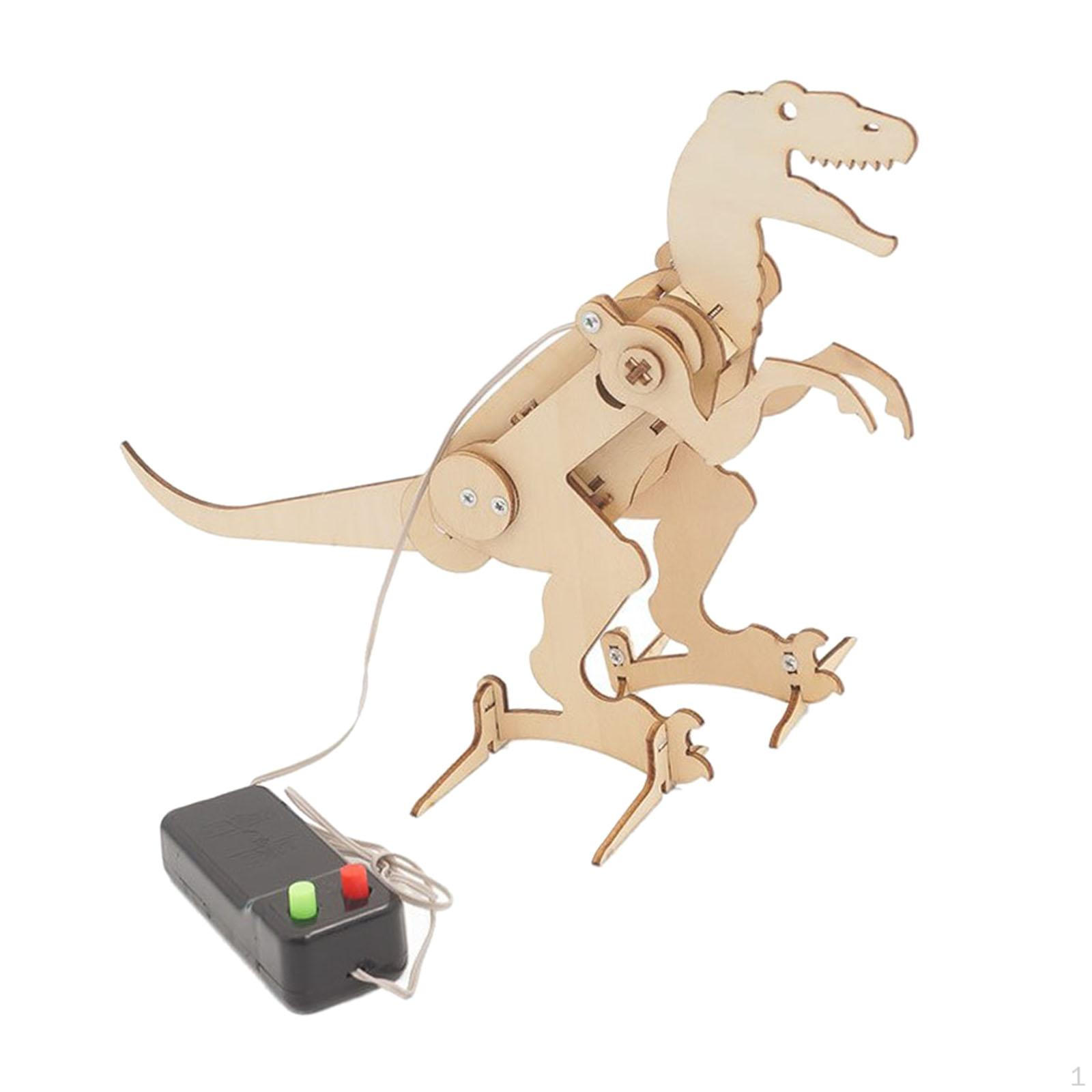 Electric Model Science Kit DIY Education Toy, Dinosaur Construction Set for Boys
Electric Model Science Kit DIY Education Toy, Dinosaur Construction Set for Boys