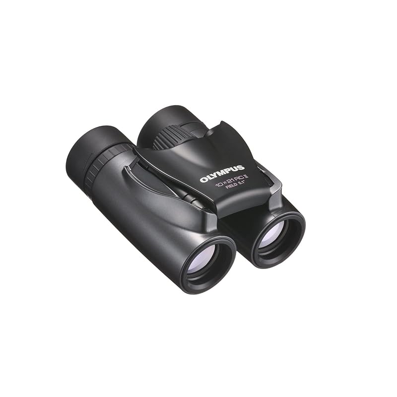 olympus OLYMPUS roof prism binoculars 10x21 RCII dark silver Small and lightweight model
olympus OLYMPUS roof prism binoculars 10x21 RCII dark silver Small and lightweight model