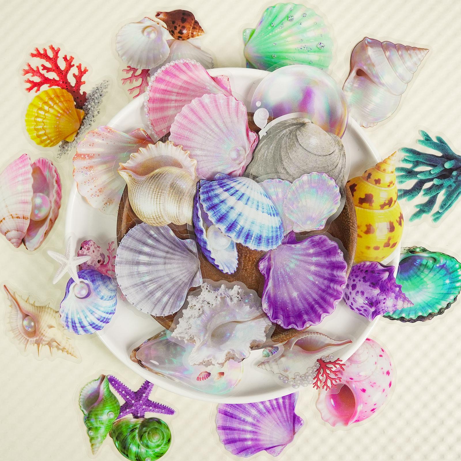 56 Exquisite Ocean Shell Transparent Stickers Pet Material Hand Account Water Cup Stickers
56 Exquisite Ocean Shell Transparent Stickers Pet Material Hand Account Water Cup Stickers