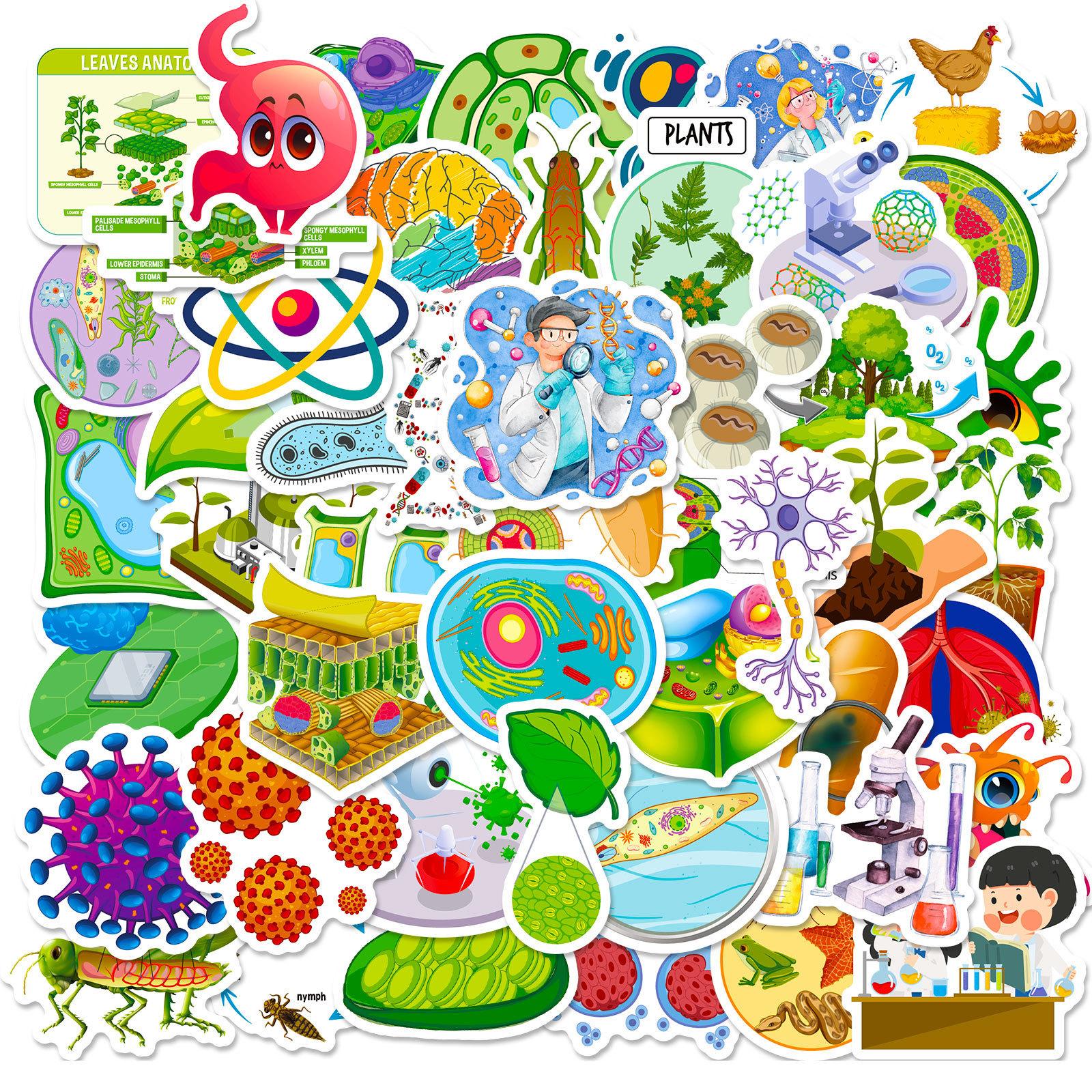 50 Cartoon Biology Stickers Are Sold, Cute Cartoon Biology Class, Children S Stationery Notebook, Water Cup Diy Waterproof.
50 Cartoon Biology Stickers Are Sold, Cute Cartoon Biology Class, Children S Stationery Notebook, Water Cup Diy Waterproof.