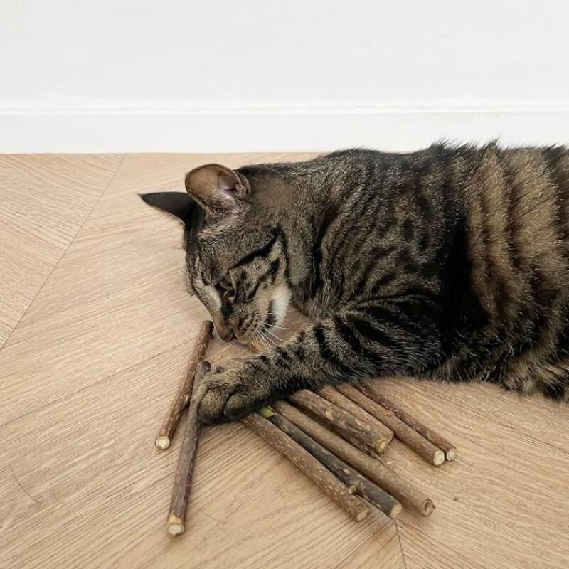 Котячі палички мататабі 10 шт.
Котячі палички мататабі 10 шт.