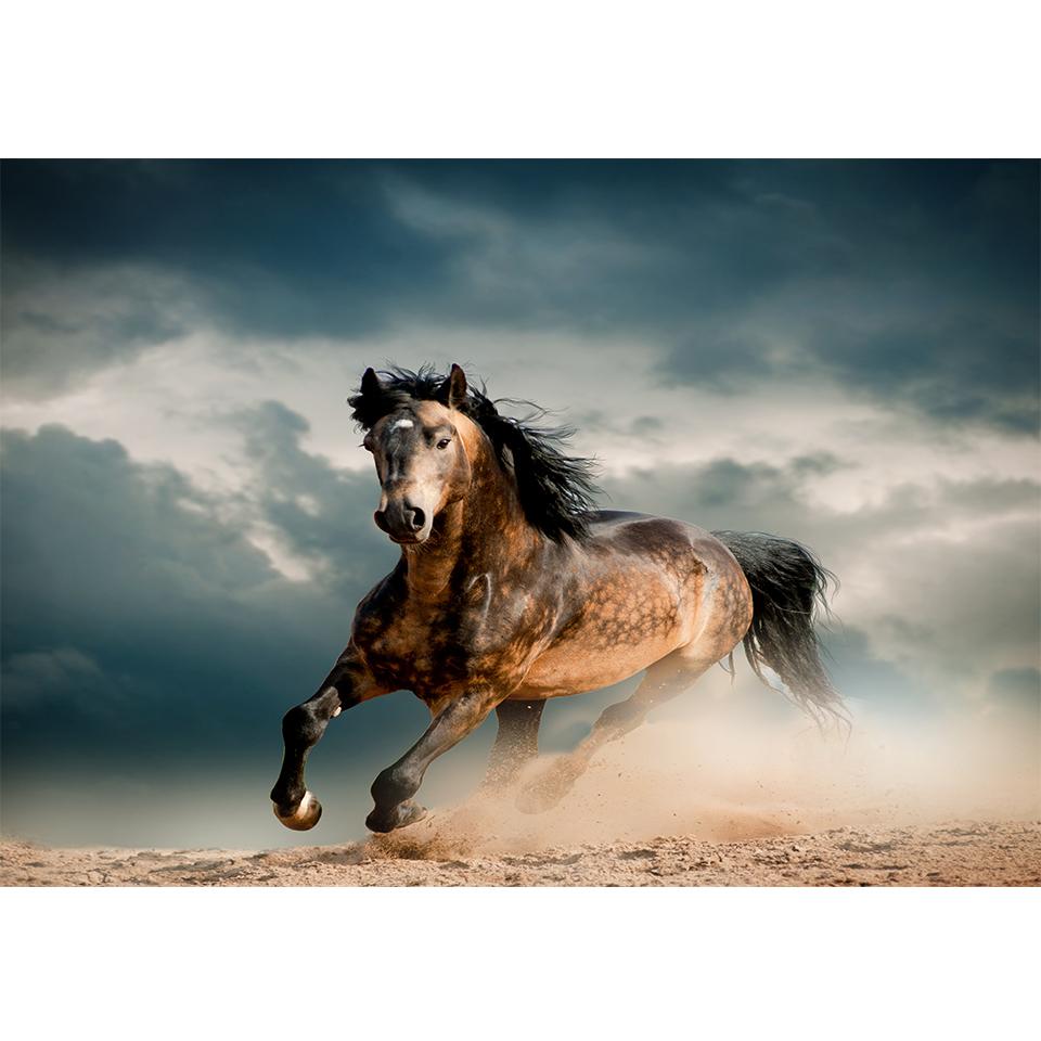 DIY 5D алмазная живопись животное лошадь горный хрусталь фотографии набор для вышивки крестом полная алмазная вышивка мозаика подарки домашний декор Full Round 20x30CM
DIY 5D алмазная живопись животное лошадь горный хрусталь фотографии набор для вышивки крестом полная алмазная вышивка мозаика подарки домашний декор Full Round 20x30CM