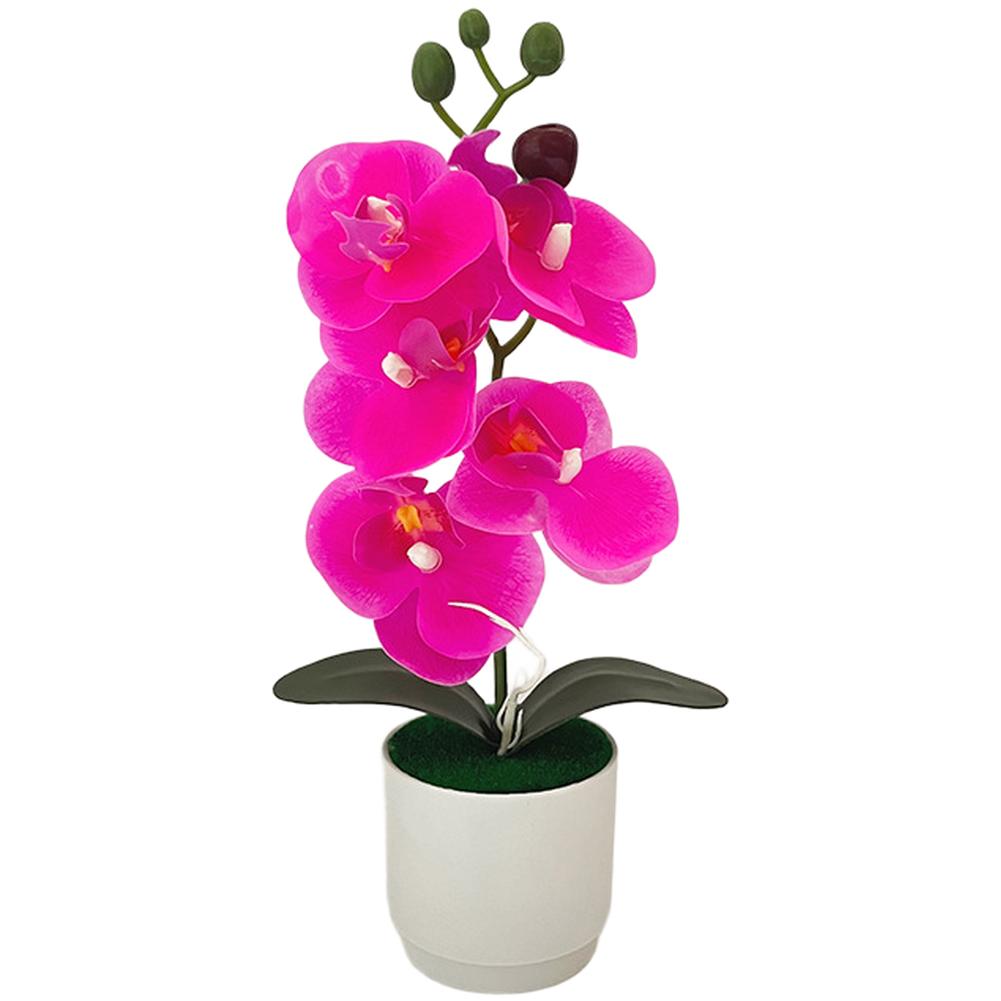 Nordic For Home Decor Artificial Orchid Potted Plant Realistic Soft Plastic Flower 7.5x7.5x28.5cm White Red Yellow фіолетовий
Nordic For Home Decor Artificial Orchid Potted Plant Realistic Soft Plastic Flower 7.5x7.5x28.5cm White Red Yellow фіолетовий