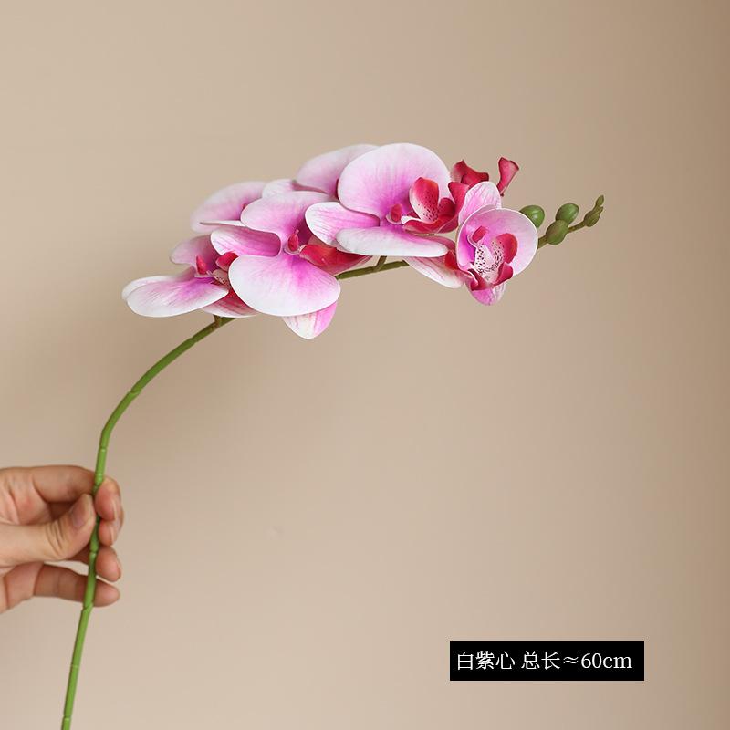 Simulation single branch 7-head feel film Phalaenopsis, light luxury home floral decoration flower arrangement wedding set Phalaenopsis
Simulation single branch 7-head feel film Phalaenopsis, light luxury home floral decoration flower arrangement wedding set Phalaenopsis