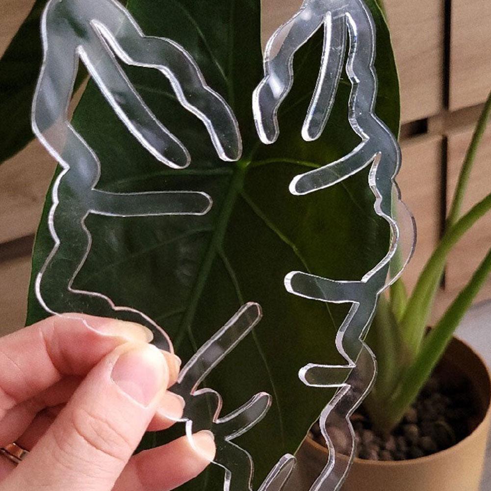 Flower Leaf Retaining Clip Bamboo Clamp,reusable Plastic Plant Support Retaining Holder, Stem Support Plant Cl K4v2
Flower Leaf Retaining Clip Bamboo Clamp,reusable Plastic Plant Support Retaining Holder, Stem Support Plant Cl K4v2