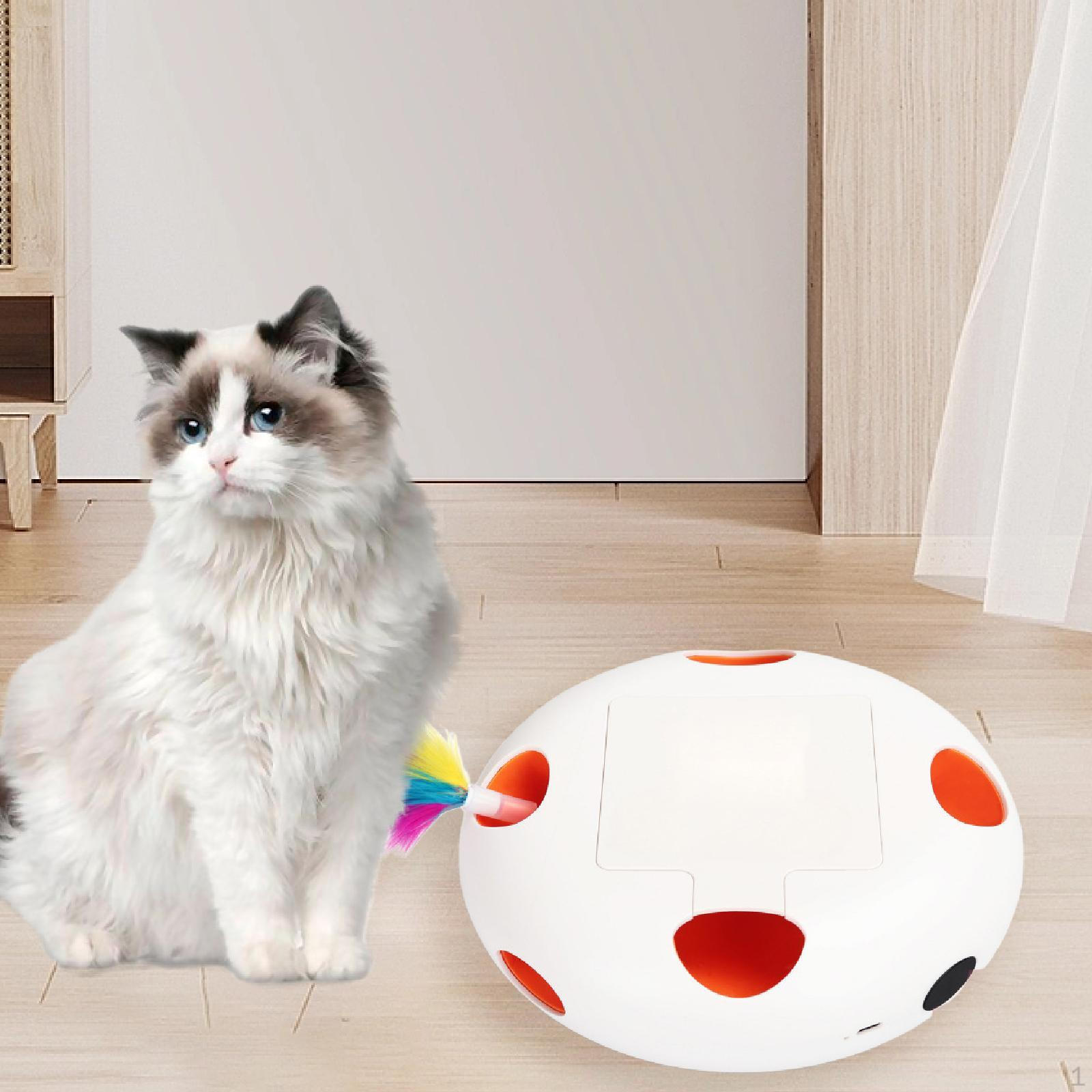 Игрушка-перо для кошек интерактивная автоматическая игрушка для домашних животных перезаряжаемая белый
Игрушка-перо для кошек интерактивная автоматическая игрушка для домашних животных перезаряжаемая белый