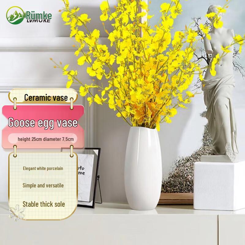 Lümk Ceramic Decorative Vase
Lümk Ceramic Decorative Vase