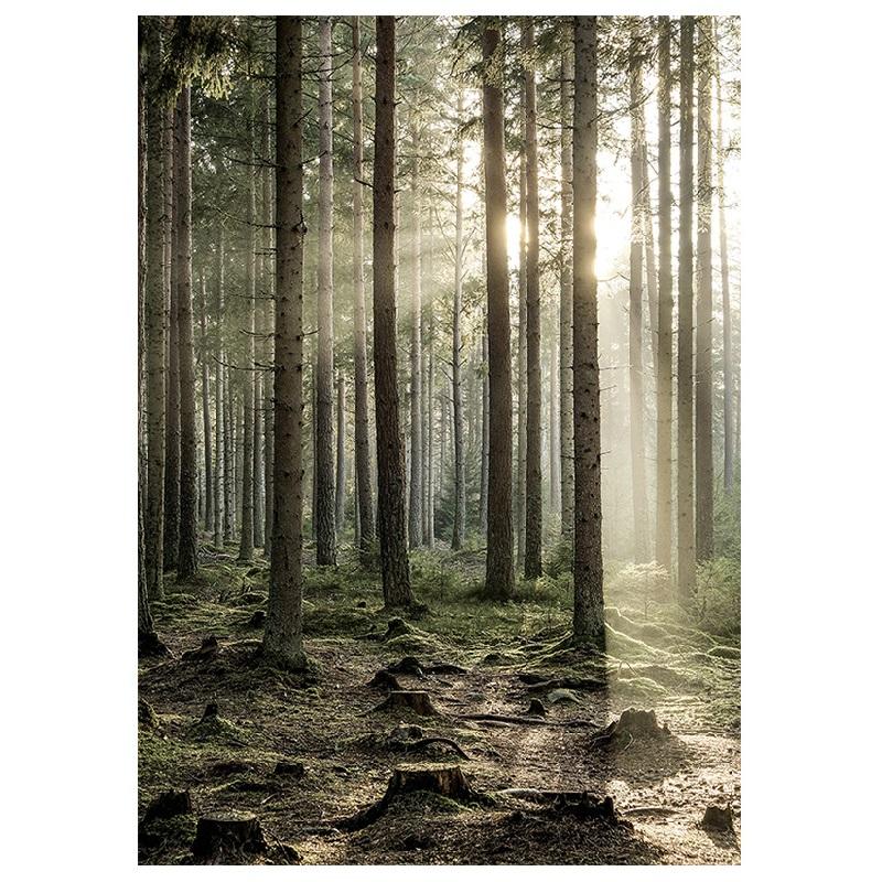 Постер с нордическим пейзажем, Подсолнух, Холст с медведем, Картины с природными лугами, Настенное искусство для декора дома, D 30x40cm No Framed
Постер с нордическим пейзажем, Подсолнух, Холст с медведем, Картины с природными лугами, Настенное искусство для декора дома, D 30x40cm No Framed