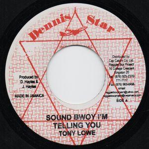 7inch Record TONY LOWE 2 Sound Bwoy Im Telling You NONE Dennis Star Int Jamaica Reggae Ska Dub Used
7inch Record TONY LOWE 2 Sound Bwoy Im Telling You NONE Dennis Star Int Jamaica Reggae Ska Dub Used