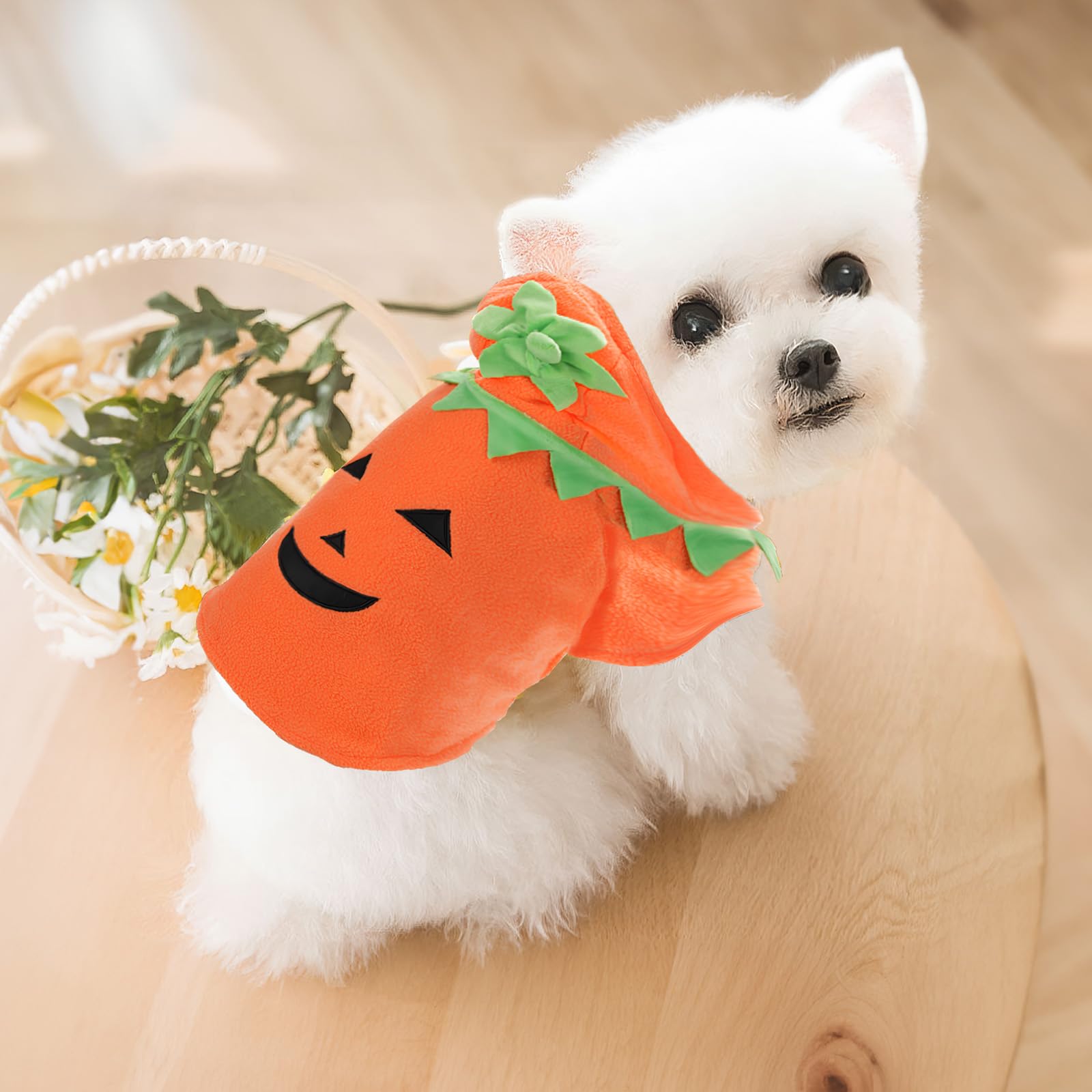 Chisafly Dog Cat Funny Easy to Small Medium Shiba Inu Одежда, Костюм, Костюм, Милый, Пушистый, Платье, Рукава, Собаки, Собаки, Чихуахуа, (M)
Chisafly Dog Cat Funny Easy to Small Medium Shiba Inu Одежда, Костюм, Костюм, Милый, Пушистый, Платье, Рукава, Собаки, Собаки, Чихуахуа, (M)