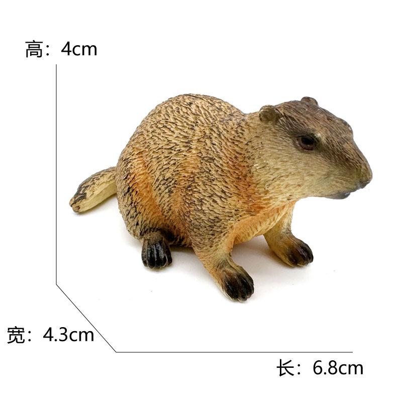 Model Of Groundhog Simulation Solid Ornament Crying Marmot Cute Gift Kawaii Figurine Decorative Figurine Miniature Items On Desk
Model Of Groundhog Simulation Solid Ornament Crying Marmot Cute Gift Kawaii Figurine Decorative Figurine Miniature Items On Desk