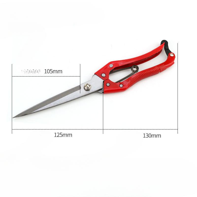 Красные ножницы из овечьей шерсти Триммер для стрижки шерсти ягненка Ручной резак для шерсти сельскохозяйственных животных и домашних питомцев Высококачественные марганцевые точильные ножницы
Красные ножницы из овечьей шерсти Триммер для стрижки шерсти ягненка Ручной резак для шерсти сельскохозяйственных животных и домашних питомцев Высококачественные марганцевые точильные ножницы