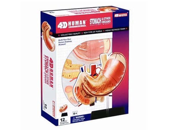 4D 3D Puzzle Human Anatomy Model Stomach 4D Human 6260014 Stomach Anatomy Model Fame Master 4D master Educational Toy STEM
4D 3D Puzzle Human Anatomy Model Stomach 4D Human 6260014 Stomach Anatomy Model Fame Master 4D master Educational Toy STEM