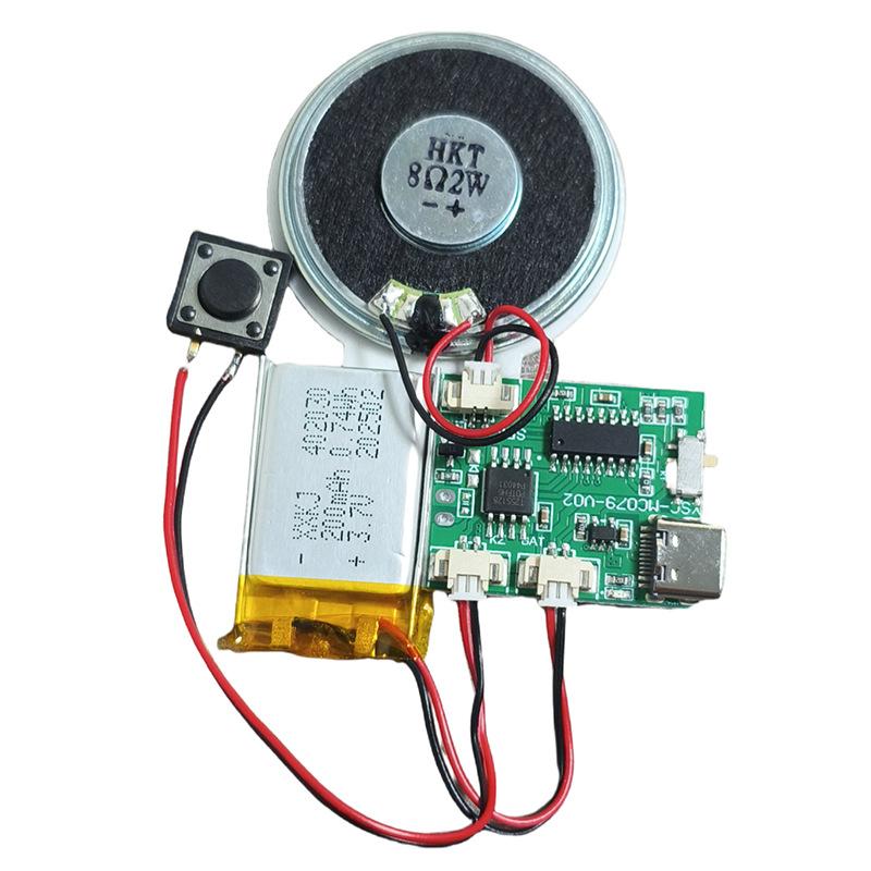 USB MP3 Music Recording Voice Module Player Accessory
USB MP3 Music Recording Voice Module Player Accessory