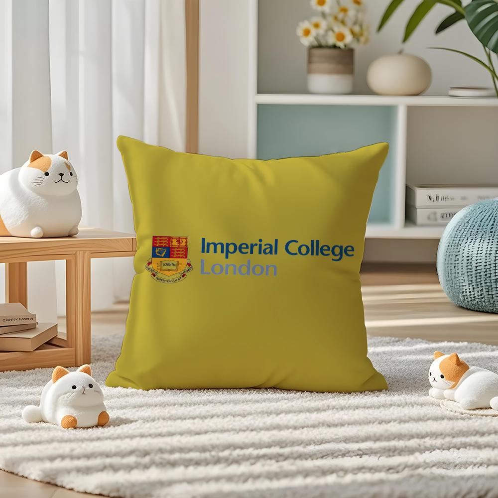 IImperial College London Pillow Case Silky Elegant Comfort Sofa Bed Invisible Zipper 30X30cm
IImperial College London Pillow Case Silky Elegant Comfort Sofa Bed Invisible Zipper 30X30cm