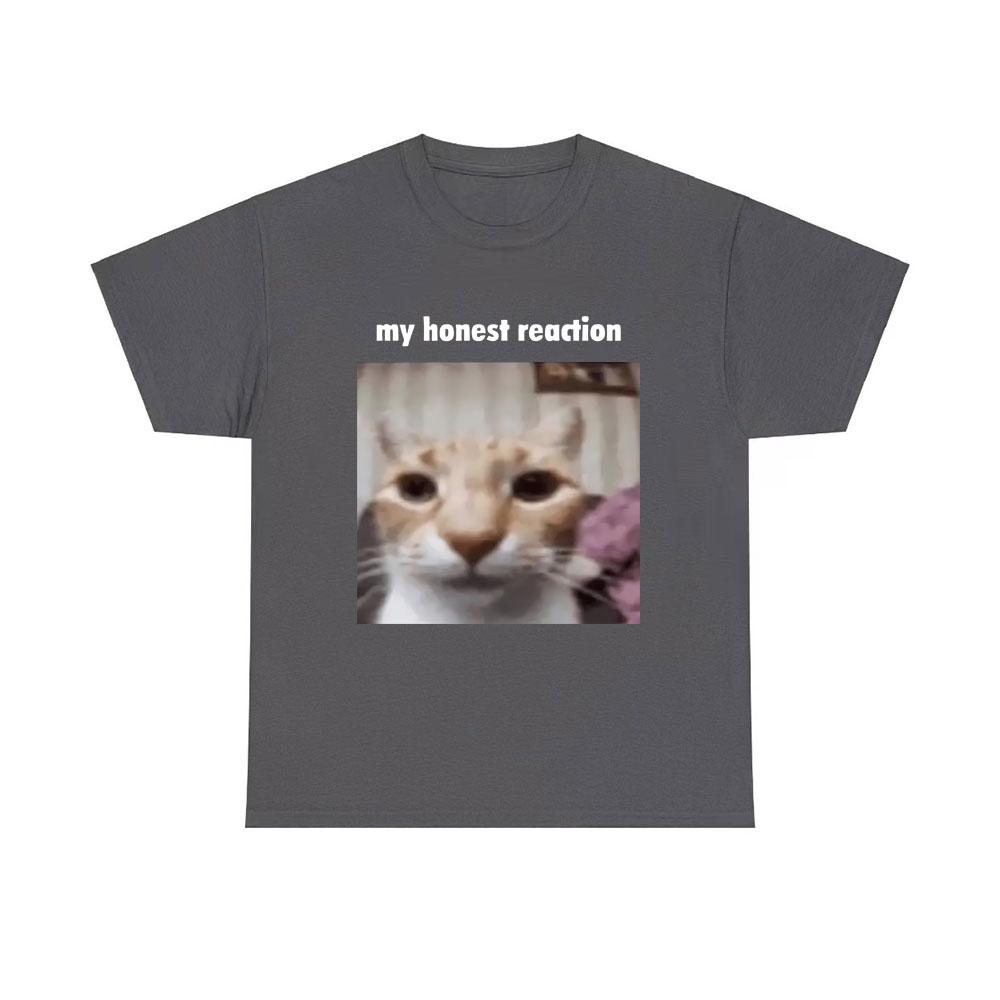 My Honest Reaction T-shirts Funny Cat Meme T Shirts Men Women Cotton Casual Short Sleeve Tees Men s Joke Humor Tshirt 4XL
My Honest Reaction T-shirts Funny Cat Meme T Shirts Men Women Cotton Casual Short Sleeve Tees Men s Joke Humor Tshirt 4XL