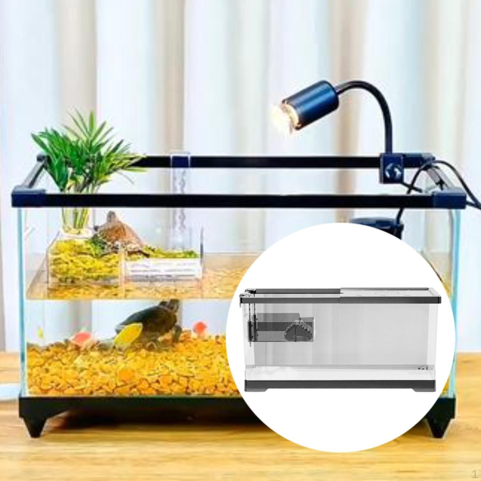 Стартовый комплект для обитания черепах с дренажем и кормушкой для рептилий L w Platform and Lid чёрный
Стартовый комплект для обитания черепах с дренажем и кормушкой для рептилий L w Platform and Lid чёрный