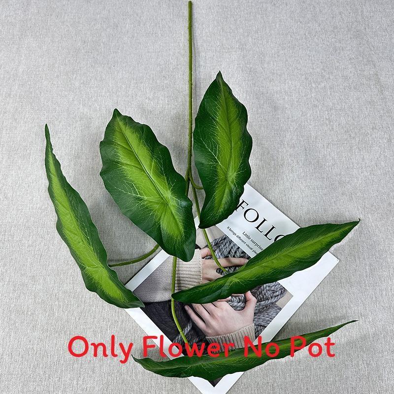 Spectabilis Leaf Malus Artificial Green Plant For Home Decor Displays Wedding Gradient Green
Spectabilis Leaf Malus Artificial Green Plant For Home Decor Displays Wedding Gradient Green