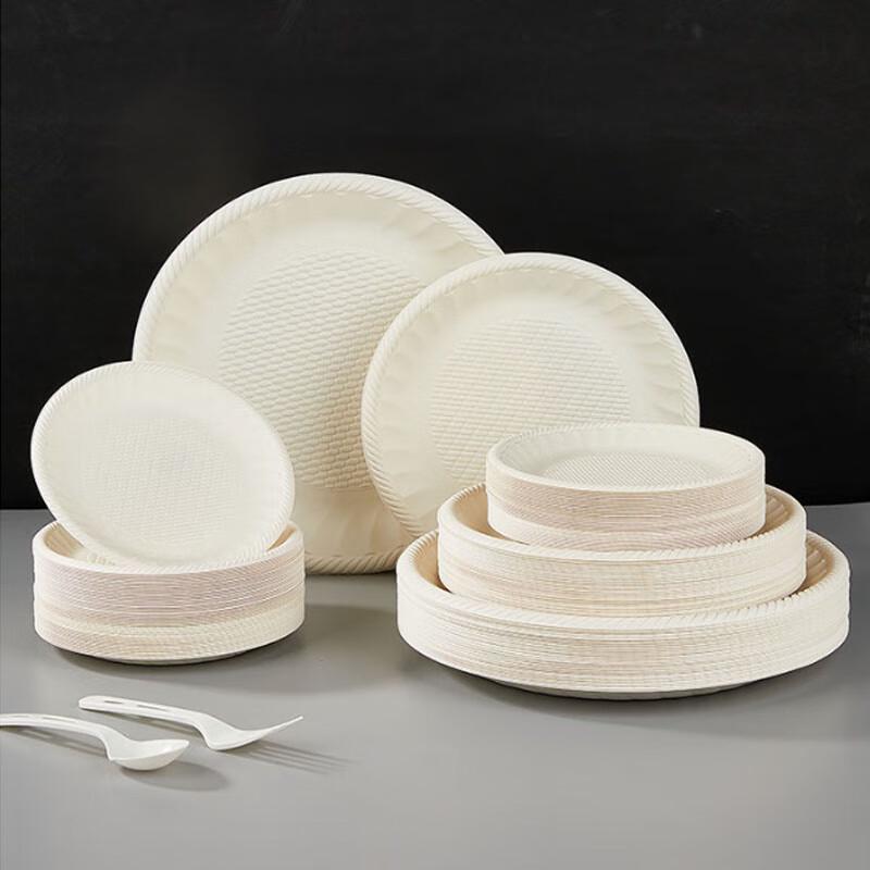8-inch Disposable Corn Starch Dinner Plates (50-count)
8-inch Disposable Corn Starch Dinner Plates (50-count)