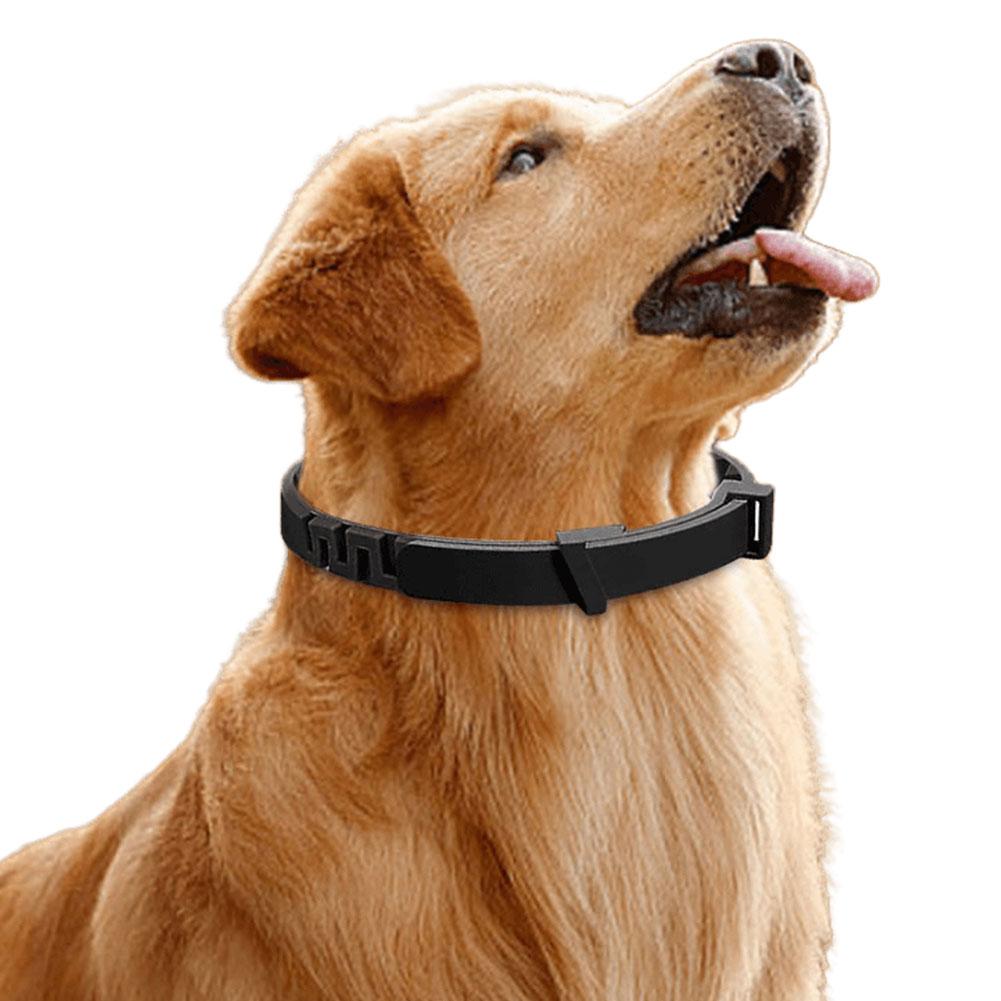 3/4 Pack Appeasing Calming Collar Stress and Anxiety Relief Natural Calm Relax Soothing Collars Adjustable for Cats Dogs
3/4 Pack Appeasing Calming Collar Stress and Anxiety Relief Natural Calm Relax Soothing Collars Adjustable for Cats Dogs