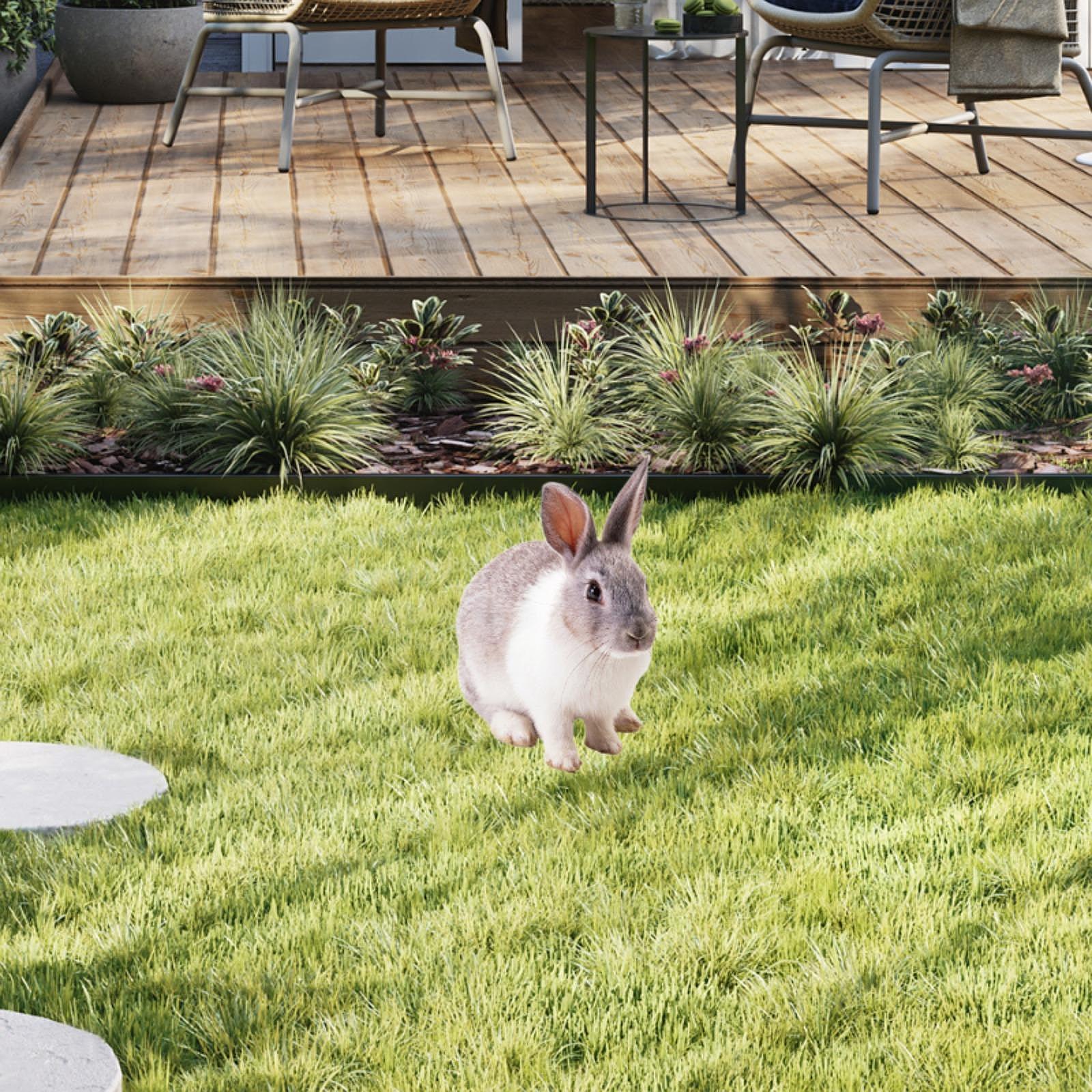 Rabbit Animal Statue Stake Floor Decoration Yard Art Sculpture Rabbit Statue for Backyard Lawn Decoration Patio Garden Porch
Rabbit Animal Statue Stake Floor Decoration Yard Art Sculpture Rabbit Statue for Backyard Lawn Decoration Patio Garden Porch