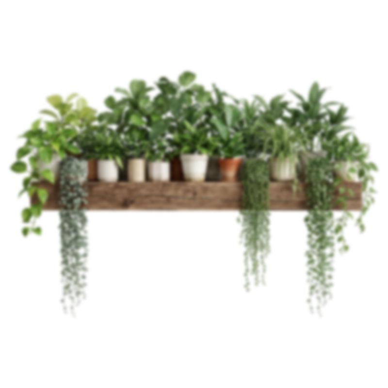 Green Hanging Plant Skirting Board Self Adhesive Wall Sticker for Kindergarten Classroom Hallway Kids Room Decor 40x60cm разноцветный
Green Hanging Plant Skirting Board Self Adhesive Wall Sticker for Kindergarten Classroom Hallway Kids Room Decor 40x60cm разноцветный