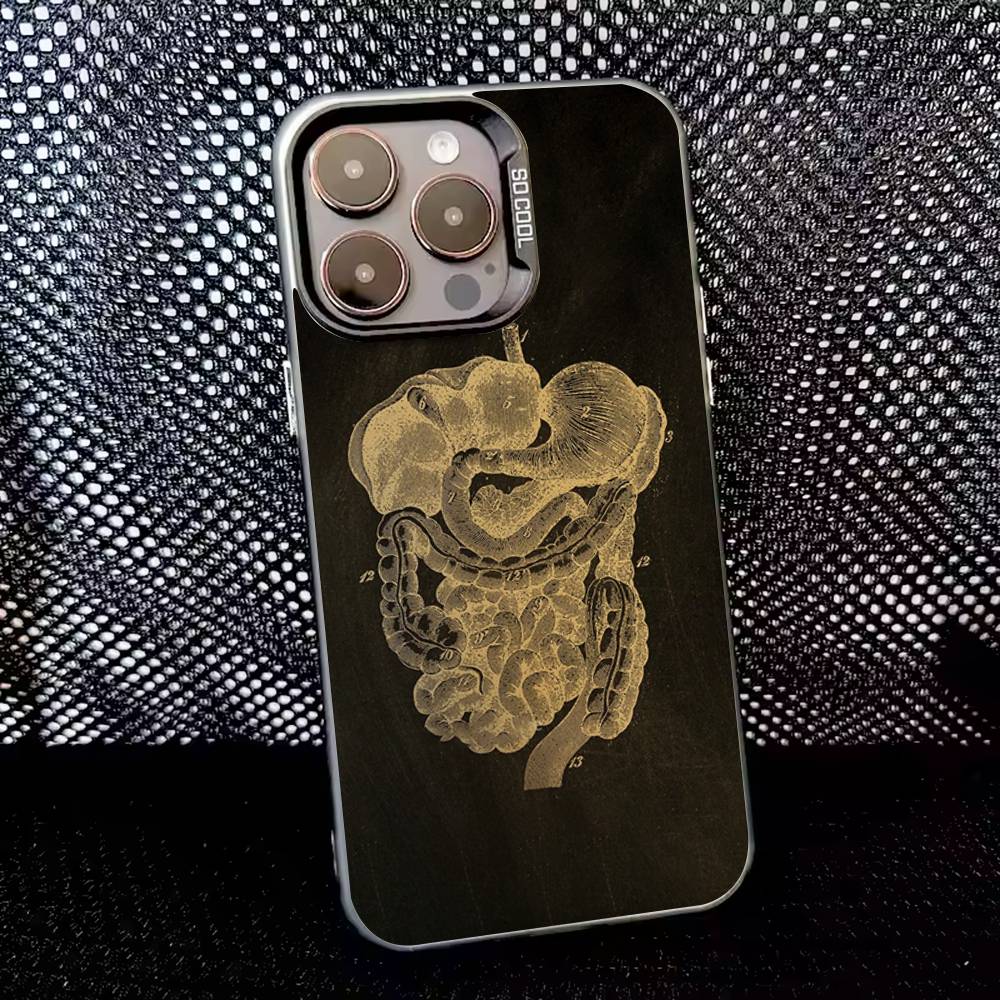 Anatomy Skeleton Phone Case For iPhone 16,15,14,13,12,11,8,7,Pro,Max,Plus,Mini,XS,SE Anti Fall Black Matte Hard iPhone14Plus
Anatomy Skeleton Phone Case For iPhone 16,15,14,13,12,11,8,7,Pro,Max,Plus,Mini,XS,SE Anti Fall Black Matte Hard iPhone14Plus