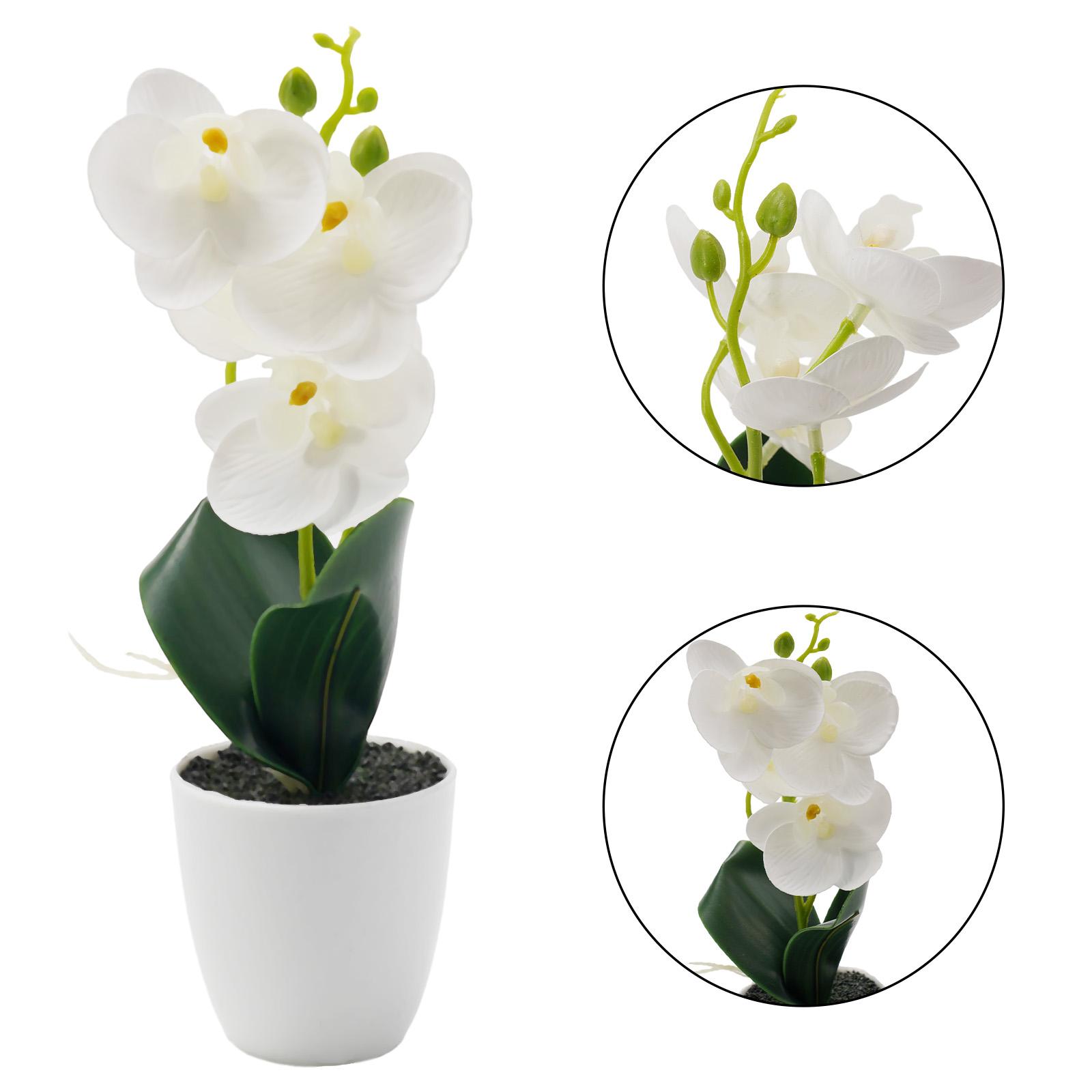 Artificial Orchid Orange-red Rose White White Plus Rose C
Artificial Orchid Orange-red Rose White White Plus Rose C