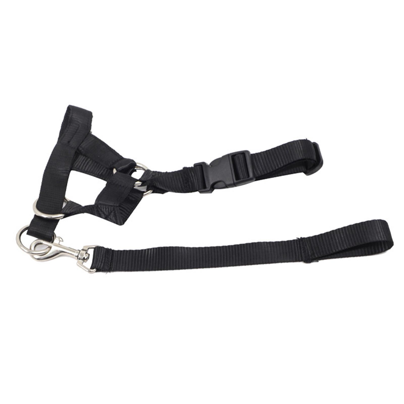 Dog Mouth Muzzle with Towing Rope Adjustable Dog Head Collar Halter Prevent From Biting Barking XXL
Dog Mouth Muzzle with Towing Rope Adjustable Dog Head Collar Halter Prevent From Biting Barking XXL