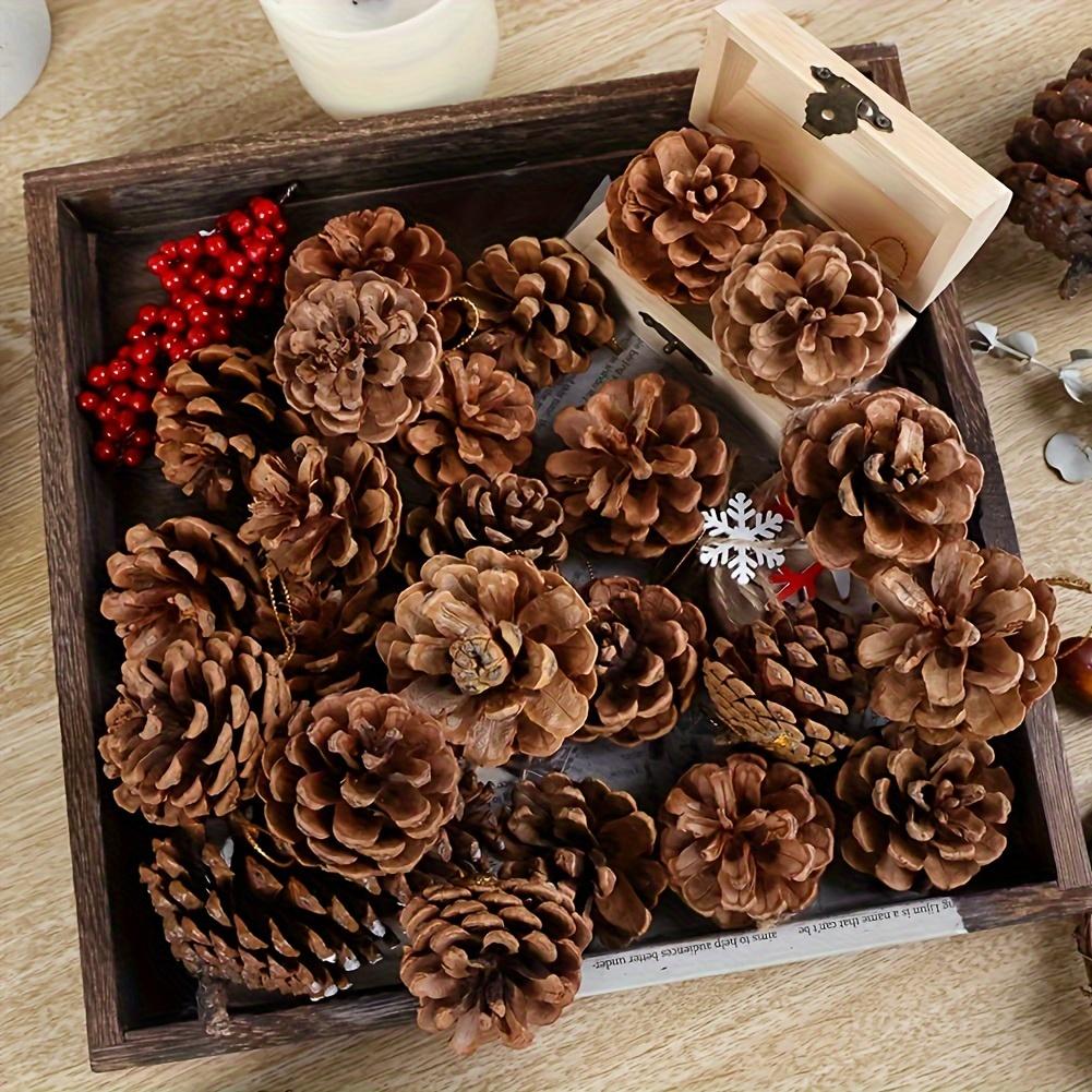 50pcs Pinecone Craft Set - Assorted Varieties for DIY Projects & Home Decor, Ideal for Thanksgiving, Christmas & Weddings 50pcs
50pcs Pinecone Craft Set - Assorted Varieties for DIY Projects & Home Decor, Ideal for Thanksgiving, Christmas & Weddings 50pcs